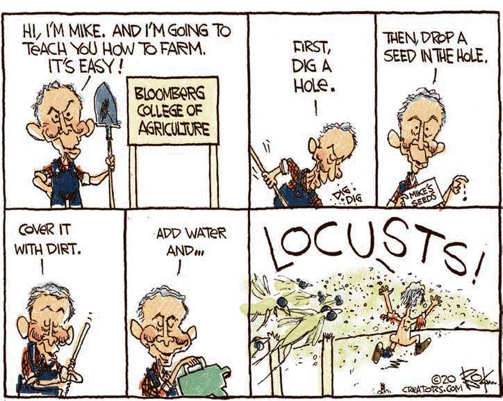 cartoon locust