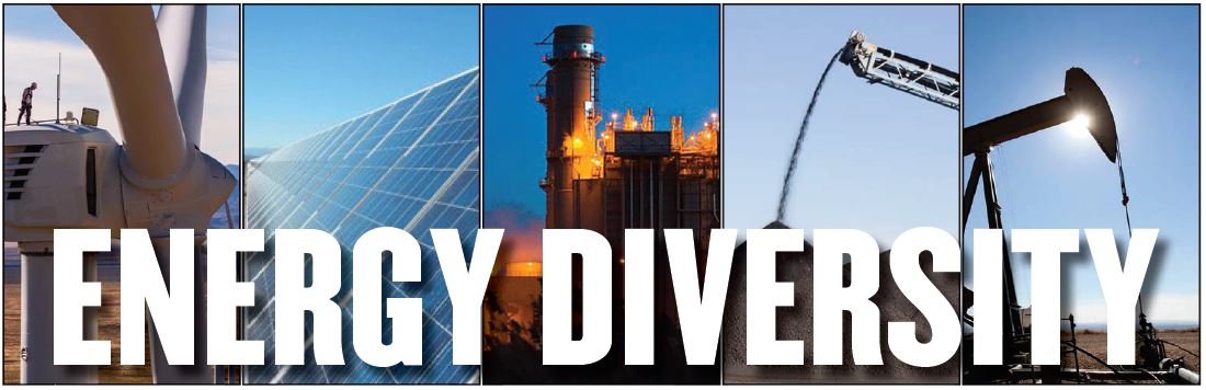 energy diversity